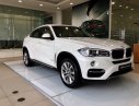 BMW X6 Mới   XDrive35i 2018 - Xe Mới BMW X6 XDrive35i 2018