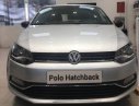 Volkswagen Polo 2016 - Volkswagen Polo 2016, màu bạc, nhập khẩu, NH hỗ trợ trên 80%