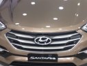 Hyundai Santa Fe 2.4  2018 - Giá rẻ đầu tháng 7