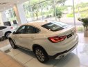 BMW X6 Mới   XDrive35i 2018 - Xe Mới BMW X6 XDrive35i 2018