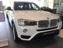 BMW X3 Mới   XDive 20i Twin Power Turbo 2018 - Xe Mới BMW X3 XDive 20i Twin Power Turbo 2018