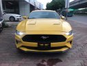 Ford Mustang Mới   EcoBoost Fastback 2018 - Xe Mới Ford Mustang EcoBoost Fastback 2018
