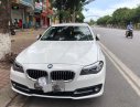 BMW 1 Cũ  5 520i 206 2016 - Xe Cũ BMW 5 520i 2016