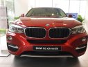BMW X6 Mới   Xdive35i 2018 - Xe Mới BMW X6 Xdive35i 2018