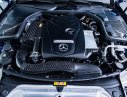 Mercedes-Benz V-Class Cũ Mercedes-Benz  V220 2016 - Xe Cũ Mercedes-Benz V-Class V220 2016