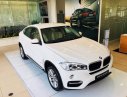 BMW X6 Mới   XDrive35i 2018 - Xe Mới BMW X6 XDrive35i 2018