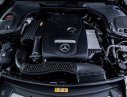 Mercedes-Benz C ũ Meredes-Benz E 250 2016 - Xe Cũ Mercedes-Benz E 250 2016