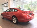 BMW 4 Series Mới   420i 2017 - Xe Mới BMW 4 Series 420i 2017