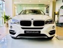 BMW X6 Mới   XDrive35i 2018 - Xe Mới BMW X6 XDrive35i 2018