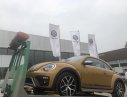 Volkswagen New Beetle 2018 - Cần bán xe Volkswagen New Beetle năm 2018, màu cam, nhập khẩu nguyên chiếc