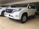 Toyota Prado TXL 2014 - Bán Toyota Prado TXL xe sản xuất 2014, đăng ký cuối 2014, tên tư nhân biển Hà Nội, xe chạy 5 vạn km