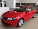 Volkswagen Jetta 2017 - Cần bán xe Volkswagen Jetta 2017, xe nhập