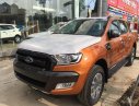 Ford Ranger 2.0 biturbo 2018 - Quảng Bình Ford bán Ford Ranger Wildtrak 2.0 4WD biturbo, lh 0974286009