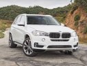 BMW X5   2018 - Bán BMW X5 đời 2018, màu trắng, xe nhập