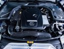 Mercedes-Benz C ũ Meredes-Benz  200 2016 - Xe Cũ Mercedes-Benz C 200 2016