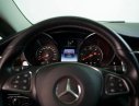 Mercedes-Benz V-Class Cũ Mercedes-Benz  220d 2016 - Xe Cũ Mercedes-Benz V-Class 220d 2016