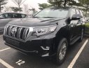 Toyota Prado VX 2018 - Cần bán Toyota Prado VX đời 2018, màu đen, nhập khẩu