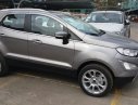 Ford EcoSport 2018 - Ford Thái Bình bán xe Ford Ecosport 2018 màu bạc