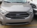 Ford EcoSport 2018 - Ford Thái Bình bán xe Ford Ecosport 2018 màu bạc