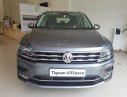 Volkswagen Tiguan All Space 2018 - Cần bán Volkswagen Tiguan năm sản xuất 2018, màu xám (ghi), xe nhập