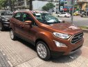 Ford EcoSport 2018 - Bán Ecosport 2018 giá rẻ nhiều ưu đãi tại Gia Lai 545 triệu