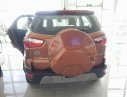 Ford EcoSport 2018 - Tại sao Ford Ecosport lại là mẫu xe gia đình được ưa chuộng nhất, l/h 0989679195 để được tư vấn