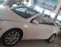 Volkswagen Eos 2008 - Bán xe Volkswagen Eos sản xuất năm 2008, màu trắng 