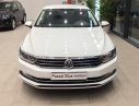 Volkswagen Passat 2016 - Bán Volkswagen Passat Bluemotion sản xuất 2016, màu trắng, xe nhập