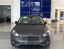 Ford Focus 2018 - Bán Ford Focus giá rẻ + nhiều ưu đãi tại thị trường Gia Lai