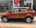 Ford EcoSport 2018 - Bán Ecosport 2018 giá rẻ nhiều ưu đãi tại Gia Lai 545 triệu