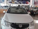 Volkswagen Eos 2008 - Bán xe Volkswagen Eos sản xuất năm 2008, màu trắng 