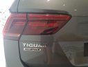 Volkswagen Tiguan All Space 2018 - Cần bán Volkswagen Tiguan năm sản xuất 2018, màu xám (ghi), xe nhập