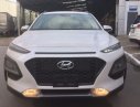 Hyundai GDW 2.0 bản tiêu chuẩn 2018 - Hyundai Kona bản tiêu chuẩn đã về màu trắng, nhanh tay sở hữu e nó với giá cạnh tranh LH: 0975519462