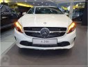Mercedes-Benz A class  A200 2018 - Bán Mercedes A200 đời 2018, màu trắng, nhập khẩu nguyên chiếc