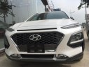 Hyundai Hyundai khác Kona 1.6 Turbo 2018 - Bán xe Hyundai Kona 1.6 Tubro
