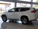 Mitsubishi Pajero 4x2 AT Diesel 2018 - Bán Mitsubishi Pajero 4x2 AT Diesel sản xuất năm 2018, màu trắng, xe nhập