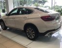 BMW X6 Xdrive35i 2017 - BMW Phú Mỹ Hưng - BMW X6 Xdrive35i 2017 - mới 100% nhập khẩu nguyên chiếc