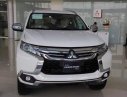 Mitsubishi Pajero 4x2 AT Diesel 2018 - Bán Mitsubishi Pajero 4x2 AT Diesel sản xuất năm 2018, màu trắng, xe nhập