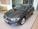 Volkswagen Passat Bluemotion  2018 - Passat Comfort hỗ trợ 100% trước bạ trong tháng 02/2020, xe giao ngay - hỗ trợ vay 90%