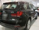 BMW X5 Xdrive35i 2017 - BMW Phú Mỹ Hưng - BMW X5 Xdrive35i 2017 - Mới 100% nhập khẩu nguyên chiếc