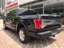 Ford F 150 Platinum 2015 - Bán Ford F150 Platinum năm 2015, màu đen, nhập khẩu nguyên chiếc