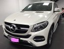 Mercedes-Benz GLE-Class 2015 - Cần bán lại xe Mercedes đời 2015, màu trắng