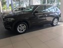 BMW X5 Xdrive35i 2017 - BMW Phú Mỹ Hưng - BMW X5 Xdrive35i 2017 - Mới 100% nhập khẩu nguyên chiếc