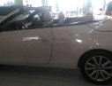 Volkswagen Eos 2007 - Bán xe Volkswagen Eos đời 2007, màu trắng, nhập khẩu