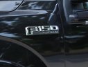Ford F 150 Titanium 2015 - Bán Ford F150 Titanium nhập Mỹ