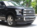 Ford F 150 Titanium 2015 - Bán Ford F150 Titanium nhập Mỹ