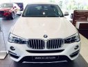 BMW X4 XDrive 20i  2017 - Bán xe BMW X4 XDrive 20i năm 2017, mới 100%