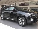 Kia Sorento 2017 - Cần bán xe Kia Sorento đời 2017, màu đen đã đi 8000km