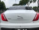 Jaguar XJ   AT  2016 - Cần bán xe cũ Jaguar XJ AT đời 2017, màu trắng, nhập khẩu 