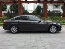 BMW 5 Series  520i 2015 - Bán xe BMW 5 Series 520i sản xuất năm 2015, màu đen 